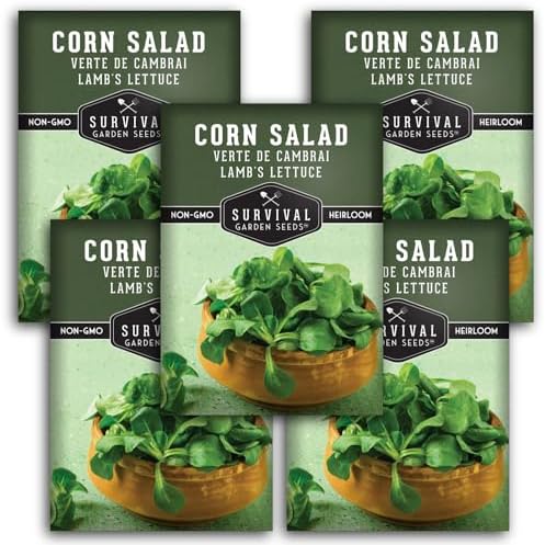 Corn Salad Seeds for Planting - Mache, Lamb's Lettuce (5 Packs) by SurvivalGardenSeeds