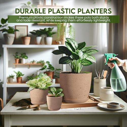 Plant Pots Indoor with Drainage 10 Pack Planters Spotty Peach Pink - Image 5