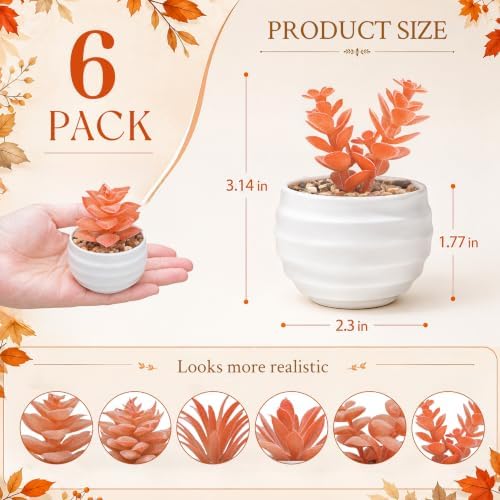 Der Rose 6 Pack Fall Fake Succulent Plants in White Pots for Autumn Decor - Image 2
