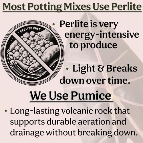 Craft Houseplant Potting Mix, Organic Indoor Potting Soil for House Plants, Chunky Well Draining Plant Soil for Pothos, Snake Plant & Tropical Plants, Peat Free, 2 Quart - Image 7