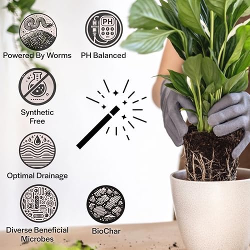 Craft Houseplant Potting Mix, Organic Indoor Potting Soil for House Plants, Chunky Well Draining Plant Soil for Pothos, Snake Plant & Tropical Plants, Peat Free, 12 Quart - Image 3