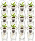 12 Pack Clear Hydroponic Nursery Pots with Humidity Dome for Seed Starting by Etmdoeve