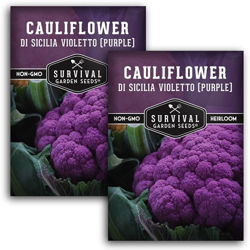 Purple Cauliflower Seeds for Planting, Violetto di Sicilia - 2 Packs by SurvivalGardenSeeds