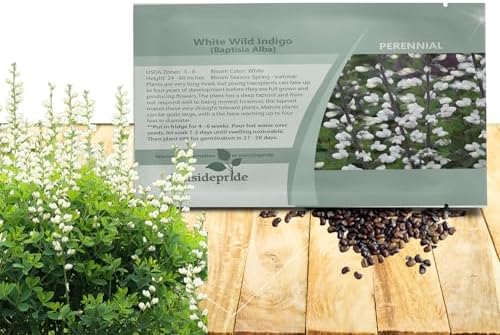 Outsidepride White Wild Indigo Seeds for Planting - 100 Pcs Perennial Flowers with Tall Growth Habit, Cold Tolerant, Nitrogen-Fixing Legume Plants, for Cooler Climates, & Pollinator Gardens by Outsidepride