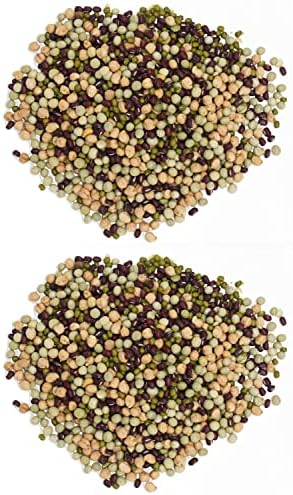 1 Pound Protein Bean Sprout Starter Seeds - 16 Servings per Bag - Organic NON-GMO - Includes Garbanzo, Adzuki, Mung, and Green Pea - Image 2