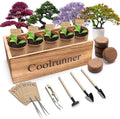 Coolrunner Wooden Bonsai Tree Starter Kit, Bonsai Tree Kit, by Coolrunner