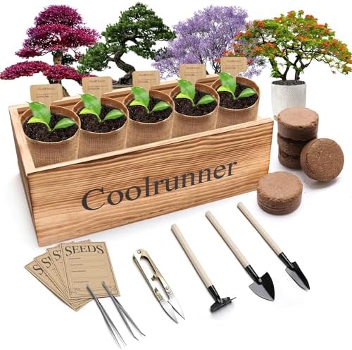 Coolrunner Wooden Bonsai Tree Starter Kit, Bonsai Tree Kit, by Coolrunner
