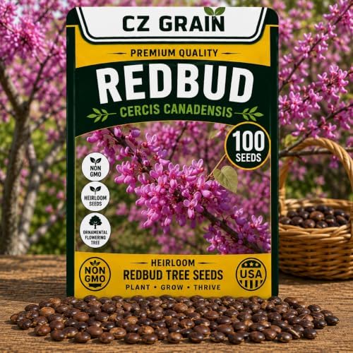 100 Redbud Tree Seeds | Flowering Tree Seeds for Planting by CZGrain