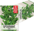 Seed Needs Spearmint Seeds to Plant an Herb Garden - 10 Packs by SeedNeeds