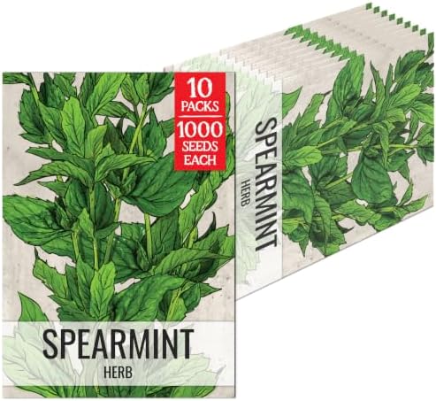 Seed Needs Spearmint Seeds to Plant an Herb Garden - 10 Packs by SeedNeeds