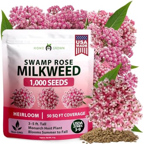 HOME GROWN Milkweed Seeds, Swamp Rose, 1,000 Seeds, Asclepias incarnata by HOMEGROWN