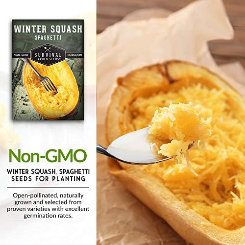 Spaghetti Squash Seeds for Planting - 3 Packs - Image 3