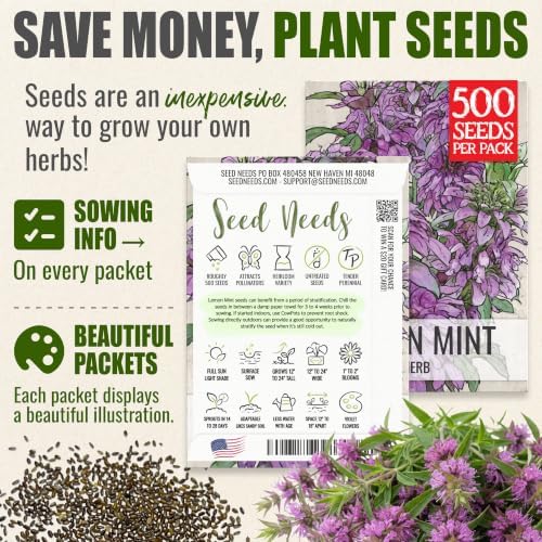 Seed Needs Lemon Mint Seeds to Plant an Herb Garden - 2 Packs - Image 3