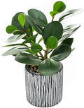 AlphaAcc Fake Plant 8" Black Clay Planter Farmhouse Bath Kitchen Decor by AlphaAcc
