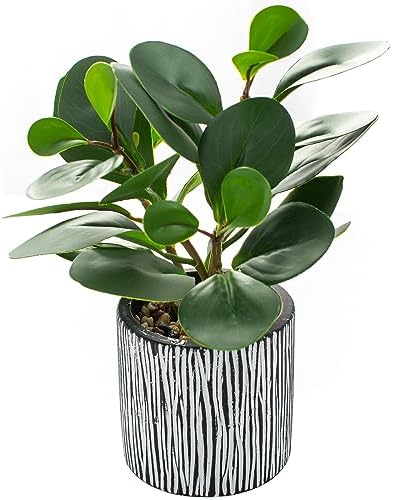AlphaAcc Fake Plant 8" Black Clay Planter Farmhouse Bath Kitchen Decor by AlphaAcc