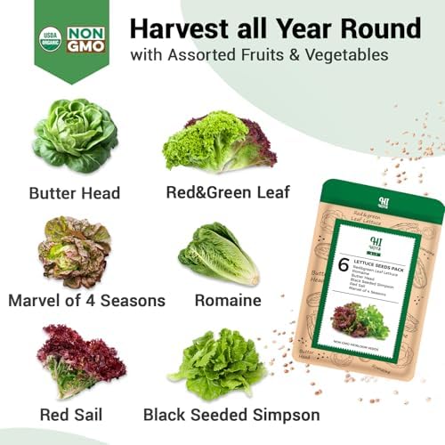 Lettuce Seed Pods for All Hydroponics Growing System, 8 Pods with 600+ Seeds of Romaine/Butter Head/Red&Green Leaf/Black Seeded Simpson/Red Sail and Marvel of 4 Seasons - Image 3