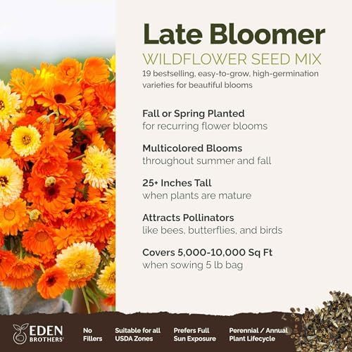 Eden Brothers Late Bloomer Wildflower Mixed Seeds for Planting, 5 lb, 2,400,000+ Seeds with White Yarrow, Snapdragon | Attracts Pollinators, Plant in Spring or Fall, Zones 3, 4, 5, 6, 7, 8, 9, 10 - Image 2