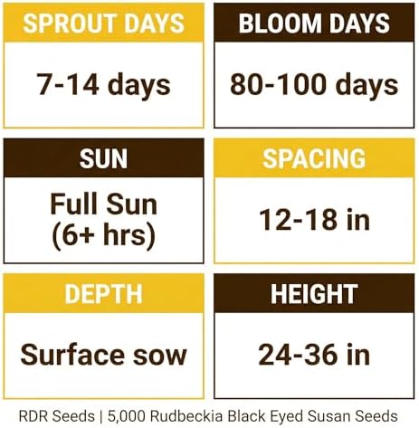5000 Black Eyed Susan Flower Seeds for Planting - Rudbeckia hirta Native Wildflower, Pollinator Garden, Heirloom, Non-GMO, USA Grown by RDR Seeds - Image 4