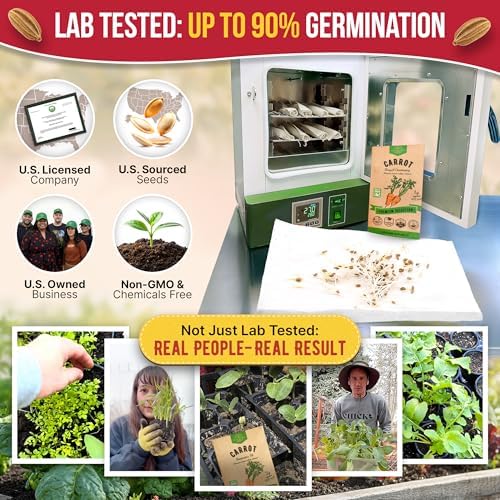 Organo Republic Carrot Royal Chantenay Seeds Pack 1G - Over 850 of Non-GMO Heirloom Carrot Seeds for Planting Vegetables in Individual Seed Packet, Vegetable Seeds for Planting Indoor & Outdoor Garden - Image 2