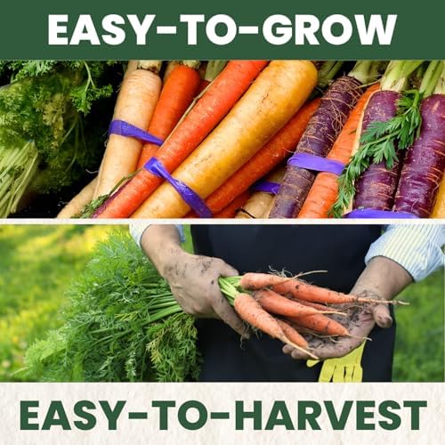 Carrot Rainbow Mix – 4,500 Premium Heirloom Seeds for Planting – Colorful, Sweet Root Blend for Garden & Kitchen for the 2026 Season – 5 Gram Pouch - Image 5