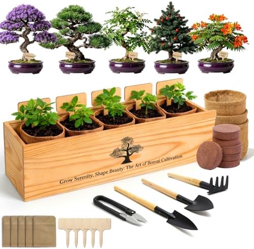 5X Bonsai Starter Kit, Bonzai Seed Kits, Durable Planting Bags, Complete Indoor Starter Kit for Growing Bonsai Plants, Gardening Gifts for Women & Men by Adawook