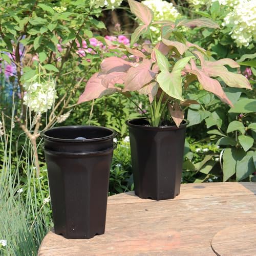 10 Pack 5.30 Inch Black Plastic Deep Nursery and Seedling Pots, Round Planter Container for Transplanting, Cutting, Succulent - Image 5