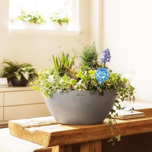 Plant Watering Globes Set of 2, Large - Glass Self Watering Globes - Image 2