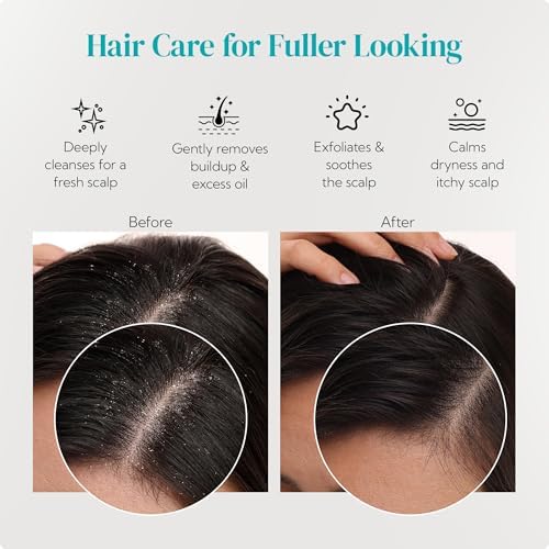 HEETA 2-Pack Large Scalp Massager Scrubber Shampoo Brush for Hair Growth - Image 7