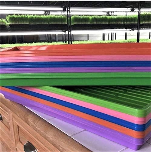Bootstrap Farmer Extra Strength 1020 Trays | Green | 30 Trays with Holes - Image 6