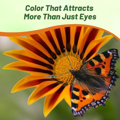 Outsidepride Mixed Gazania Seeds for Planting – 1000 Pcs Perennial, Low-Maintenance, Drought-Tolerant Ground Cover Seeds for Vibrant Summer & Fall Flowers, Ideal for Outdoor Gardens - Image 5
