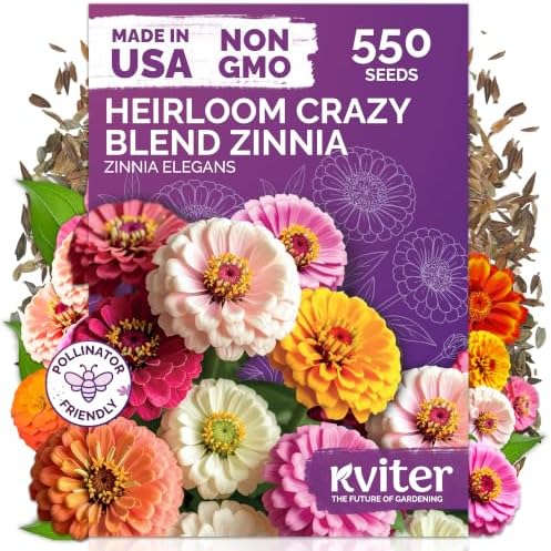 550 Crazy Blend Zinnia Heirloom Flower Seeds for Planting, Zinnia Elegans by KVITER