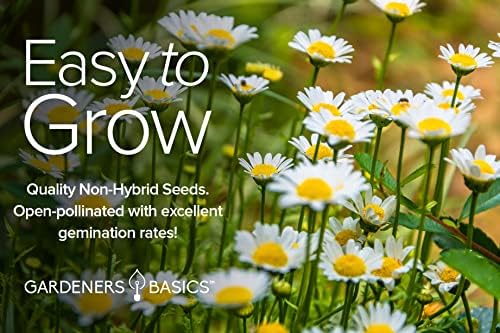Gardeners Basics Perennial Flower Seeds for Planting Outdoors, 5 Varieties - Image 7