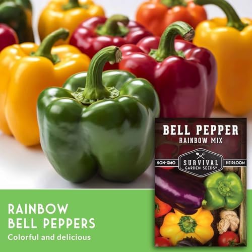 Bell Pepper Seeds for Planting - Rainbow Mix Sweet Peppers (2 Pack) - Image 3