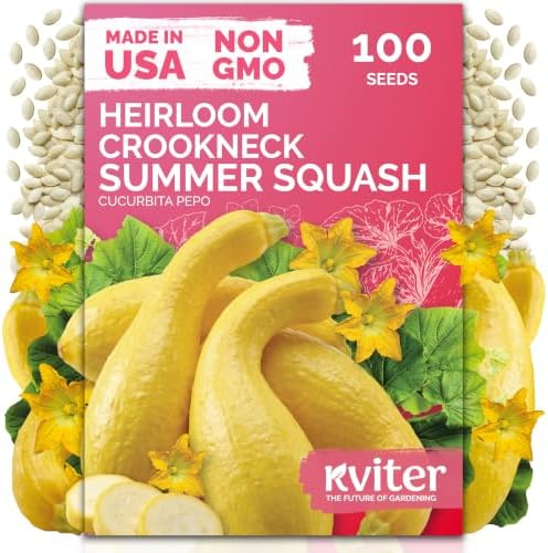 100 Crookneck Summer Squash Heirloom Vegetable Seeds, Cucurbita Pepo by KVITER