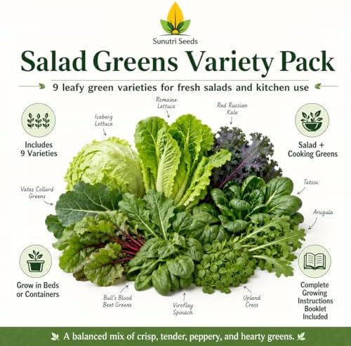 Salad Greens Variety Pack Seeds – 9 Heirloom Leafy Green Vegetable Seeds | Lettuce Kale Spinach Arugula Collards Beet Greens Mustard Cress for Raised Beds Containers Garden - Image 2