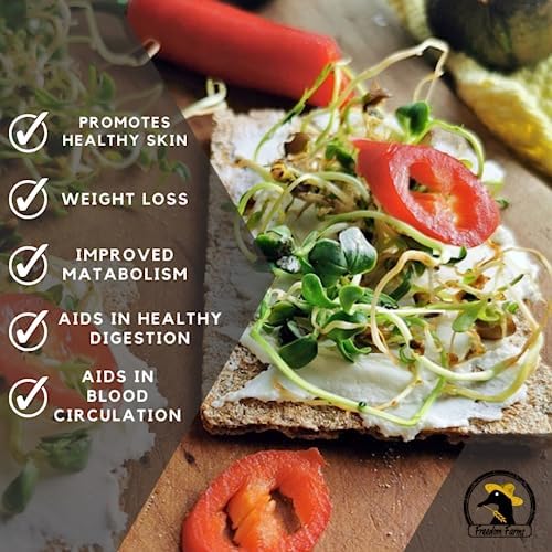 1 lb Salad Style Bean Sprout Starter Seeds - 46 Servings per Bag! - Non-GMO Organic - Sprouting Mix - Includes Alfalfa, Broccoli, Radish, Mung, and Green Lentil - Image 6