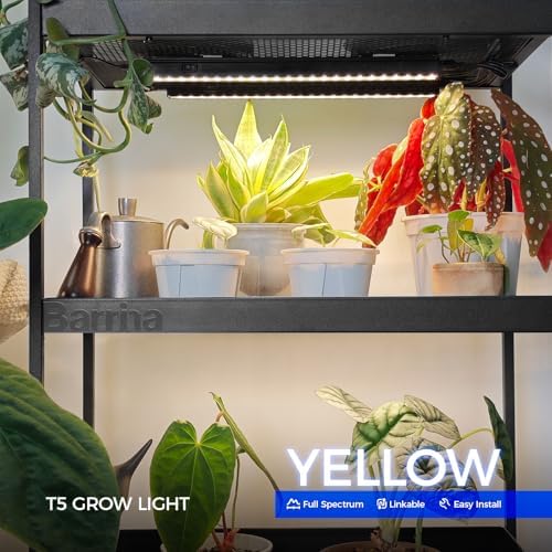 Barrina Grow Lights for Indoor Plant, T5 1FT Full Spectrum, Yellow, 4 Packs - Image 2