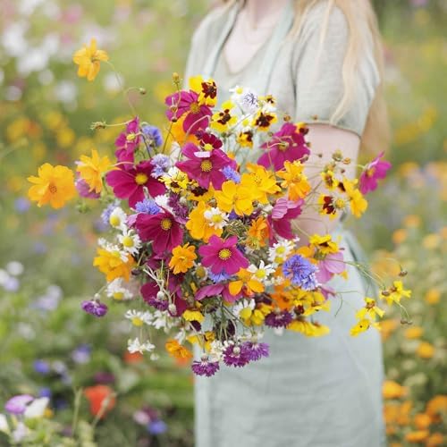 Eden Brothers Midwest Wildflower Mixed Seeds for Planting, 50 lb by EdenBrothers
