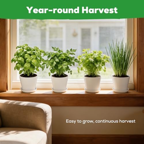 Indoor Herb Garden Starter Kit - Mothers Day Gifts - 4 Non GMO, Heirloom Culinary Herb Seeds, Unique Gardening Gift for Women, Mom, Her, Birthday, Housewarming, Plant Lovers - Image 6