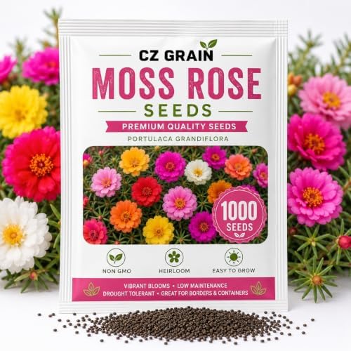 Moss Rose Seeds for Planting - 1,000 Seeds - ‘Portulaca Grandiflora’ Flowers for Bonsai Garden Balcony Planting by CZGrain