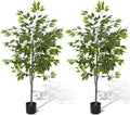 Daifunli 2 Pack Artificial Ficus Tree with Realistic Leaves Natural Trunk by Huiinen