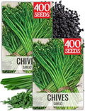 Seed Needs Garlic Chives Seeds to Plant an Herb Garden - 2 Packs by SeedNeeds
