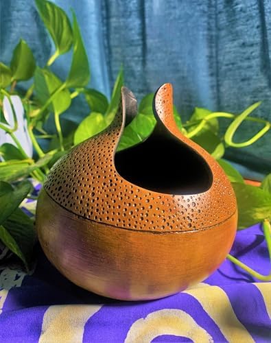 Bushel Gourd Seeds - 20+ Count - for 2026 Planting Hard-Shelled Ornamental Gourds Lagenaria Siceria Basketball Basket Bowl Carving African Squash Grow Your Own Home Farm Patio Healthy - Image 7