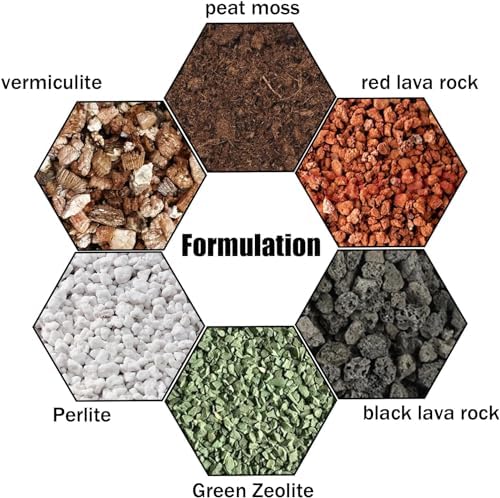 Succulent & Cactus Soil Potting Mix 2qt, Natural Organic Potting Mix for Cactus, Succulent, Palm, and Citrus Grown in Containers Indoors and Outdoors - Image 3