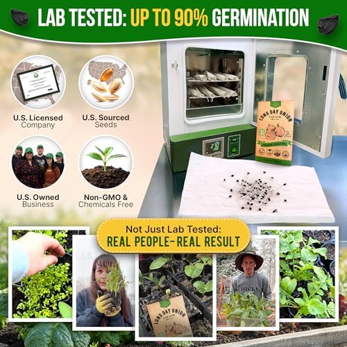 Onion Walla Walla Seeds Pack 1G - Over 275 Non-GMO Heirloom Onion Seeds for Planting Vegetables in Individual Seed Packet, Vegetable Seeds for Planting Home Garden Indoor & Outdoor Gardening - Image 2