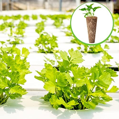 Chumia 200 Pcs Hydroponics Grow Sponges Pods for Seed Starter System - Image 6