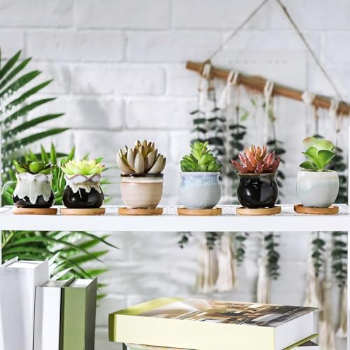 Remerry 18 Pcs Ceramic Small Succulent Pots 2.5 in with Drainage Bamboo - Image 5