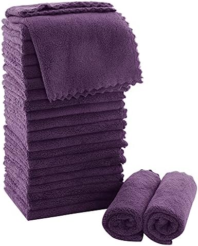MOONQUEEN Ultra Soft Premium Washcloths Set - 12 x 12 inches - 24 Pack - Quick Drying - Highly Absorbent Coral Velvet Bathroom Wash Clothes - Use as Bath, Spa, Facial, Fingertip Towel (Plum) by MOONQUEEN