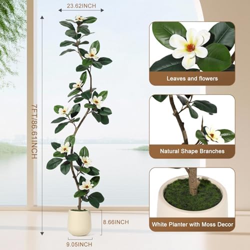 IDEALHOUSE 7ft Artificial Magnolia Tree, Faux Rubber Plant Floor Plant in White Planter, with 7 Pcs Magnolia Flowers for Home Decor for Home Office Living Room Decor - Image 2