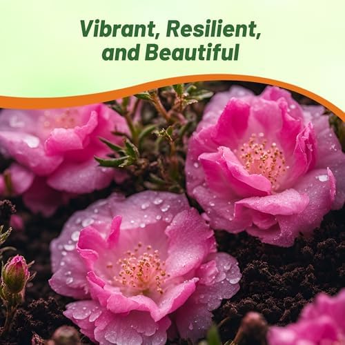 Outsidepride Pink Moss Rose Seeds - 10000 Pcs Annual, Drought & Heat Tolerant, Pollinator Friendly Ground Cover Seeds for Planting w/Vibrant Blooms & Succulent Foliage, Ideal for Xeriscaping - Image 6